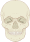 Skull human anterior view.svg