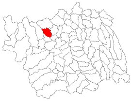 Lage im Landkreis Bacău