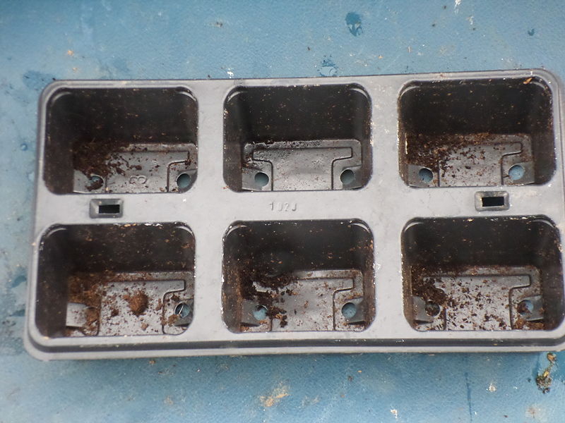 File:Sowing tray 2x3.JPG