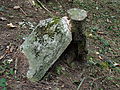 Čeština: Náhrobek vrostlý do kmenu stromu na starém židovském hřbitově ve městě Brtnice, okres Jihlava. English: Gravestone in the old Jewish cemetery in the town of Brtnice, Jihlava District, Vysočina Region, Czech Republic. This is a photo of a cultural monument of the Czech Republic, number: 27342/7-4765. Památkový katalog  · MIS  · hledat obrázky  · hledat seznamy  · Wikidata