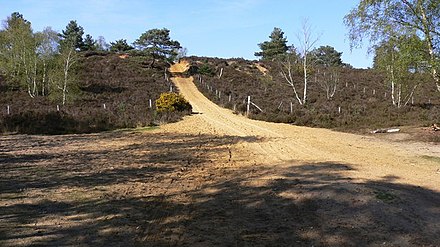Hankley Common, Surrey, England, which was made to look like a Russian farmstead for the film[119][120]