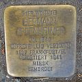 image=File:Stolperstein Bensheim Rodensteinstraße 106 Hermann Oppenheimer.jpg