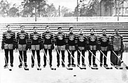 Jääkiekon Sm-Sarjakausi 1946–1947