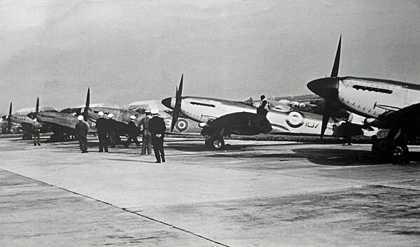 Seafire F.XVIIs of 1831 Squadron RNVR at Stretton in 1950