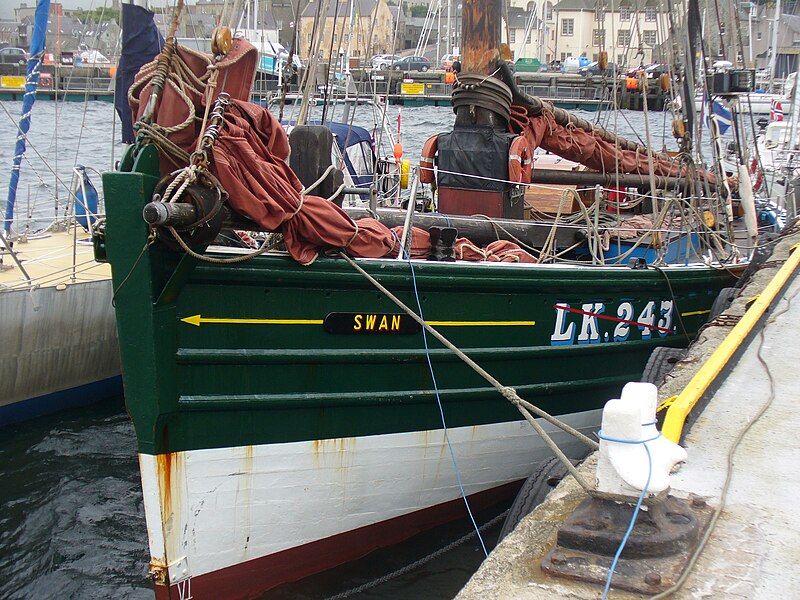 File:Swan in Lerwick - geograph.org.uk - 2068954.jpg