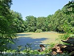 Tachensee (Stuttgart)