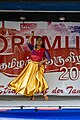 Tamilisches Straßenfest Dortmund-2019-8478