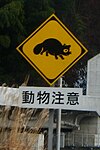 Tanuki Crossing (3146714424).jpg