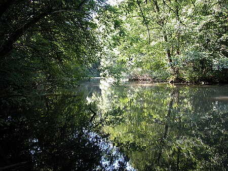 Teich im Witthausbusch