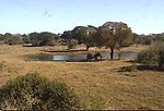 Miniatuur voor Tembe Elephant Park