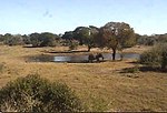 Thumbnail for Tembe Elephant Park