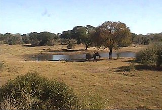 Tembe Elephant Park protected area