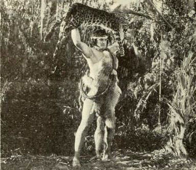 Tarzan's agility, speed, and strength allow him to kill a leopard in 1921's The Adventures of Tarzan.