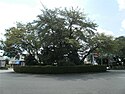 Sakuragaoka Park (Tama, Tokyo)