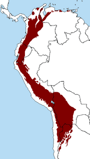 Miniatura para Andes tropicales