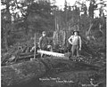 Two young loggers and a Vaughn drag saw, Wynooche Timber Company, ca 1921 (KINSEY 975).jpeg