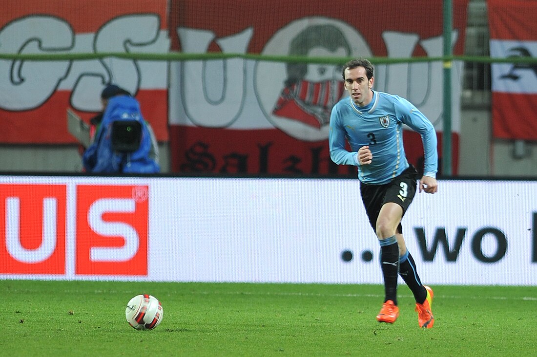 Diego Godin