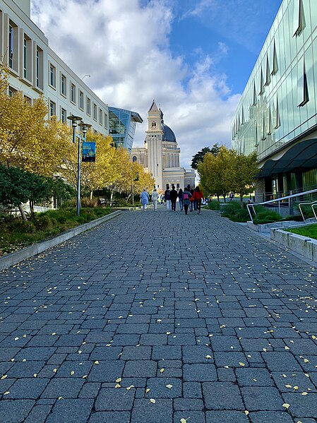 Path through USF's main campus