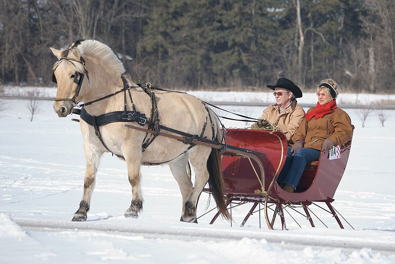 File:Uphill Sleigh Ride.jpg