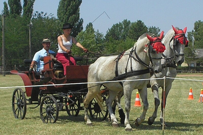 File:Verseny tempó - panoramio.jpg