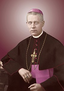 Mgr Anton Durcovici.jpg