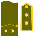 Teniente Coronel