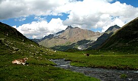 Vordere Oelgrubenspitze.jpg