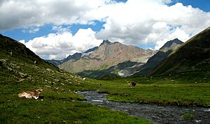 View from Krummgampental to the Vordere Ölgrubenspitze