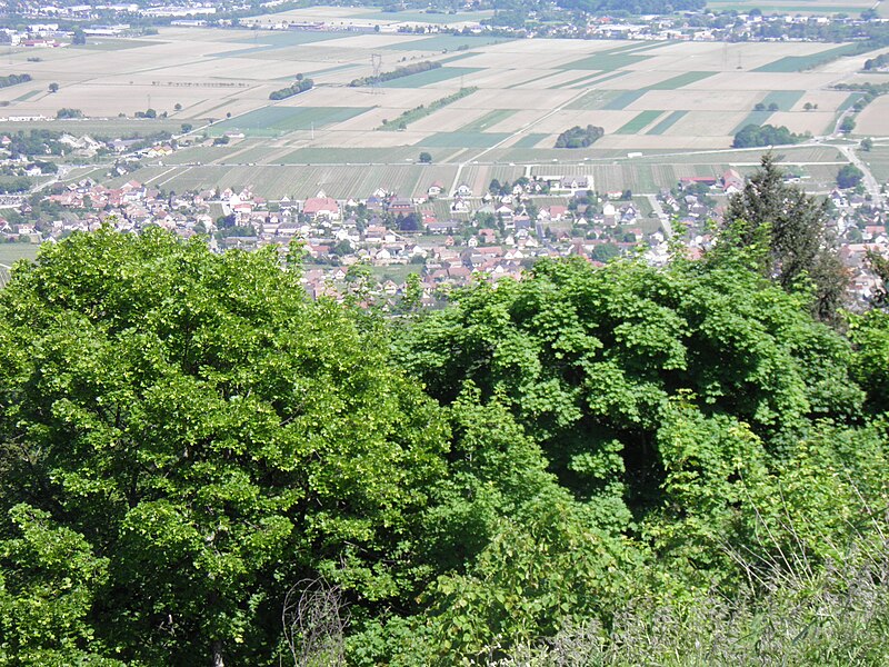 File:Vue depuis le château du Hohlandsbourg (654 m) - ville (Wettolsheim).jpg