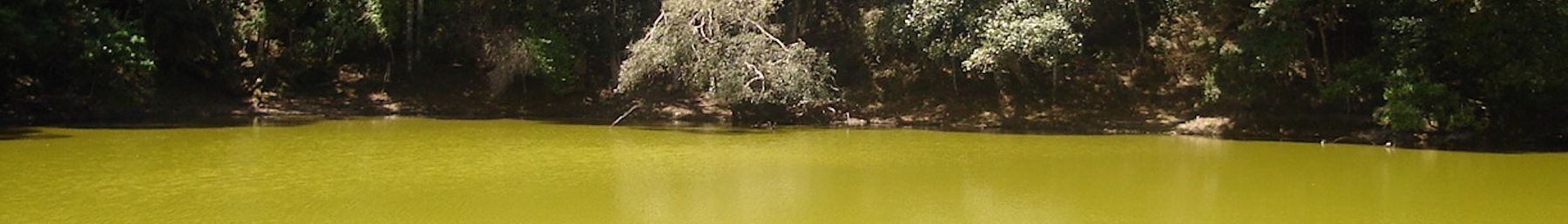 WV banner τμήμα Santa Cruz Laguna Verde.jpg