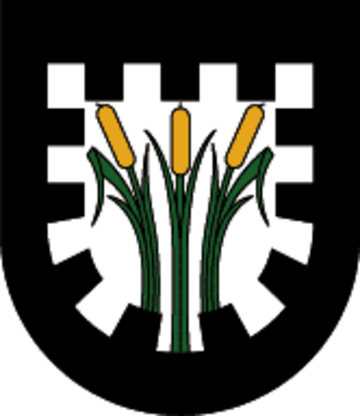 Fájl:Wappen_at_pinswang.png