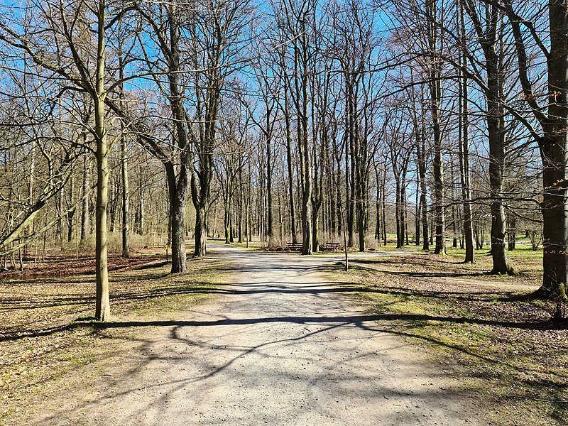 File:Weg in Park Theresienstein 20200406 05.jpg