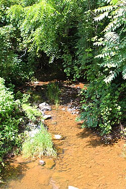 Winfield Creek mirando río arriba.JPG