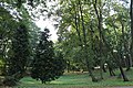 park, poł. XIX