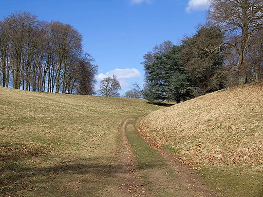 Wychwood Way through Blenheim Park - geograph.org.uk - 3403353