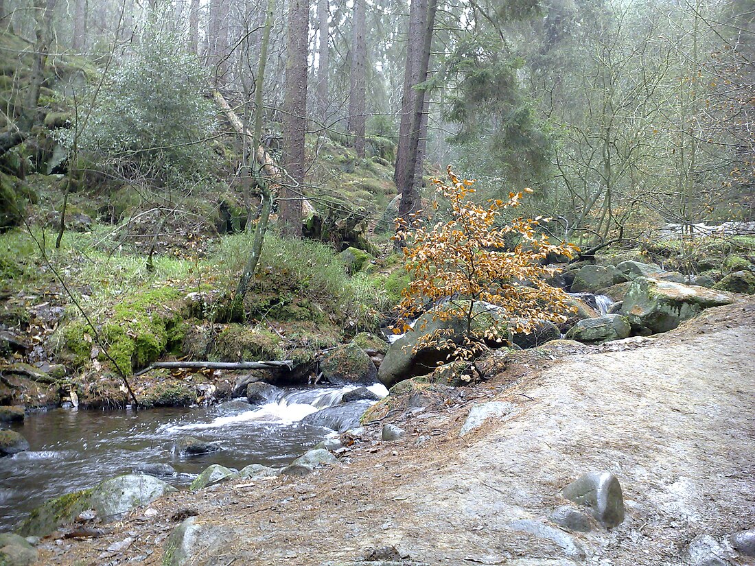 Wyming Brook