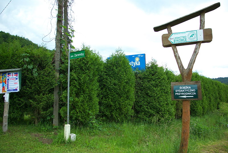 File:Zaremby Street in Bykowce.jpg