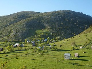 <span class="mw-page-title-main">Bobovo, Pljevlja</span> Village in Pljevlja, Montenegro