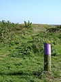 Zicht op een grafheuvel uit het Neoliticum of de Bronstijd op de Ginkelse heide met wandelpaaltje,--Archeoregio 2 - Ede - 20425893 - RCE.jpg