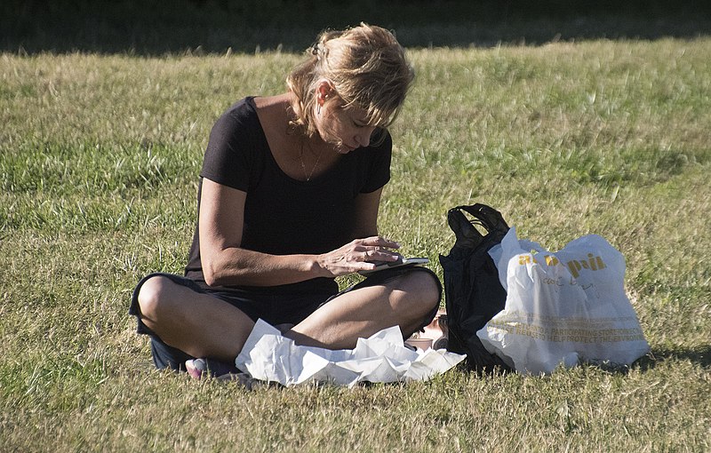 File:'Concentration' -- West Lawn of the U.S. Capitol Washington (DC) October 2016 (29766574273).jpg