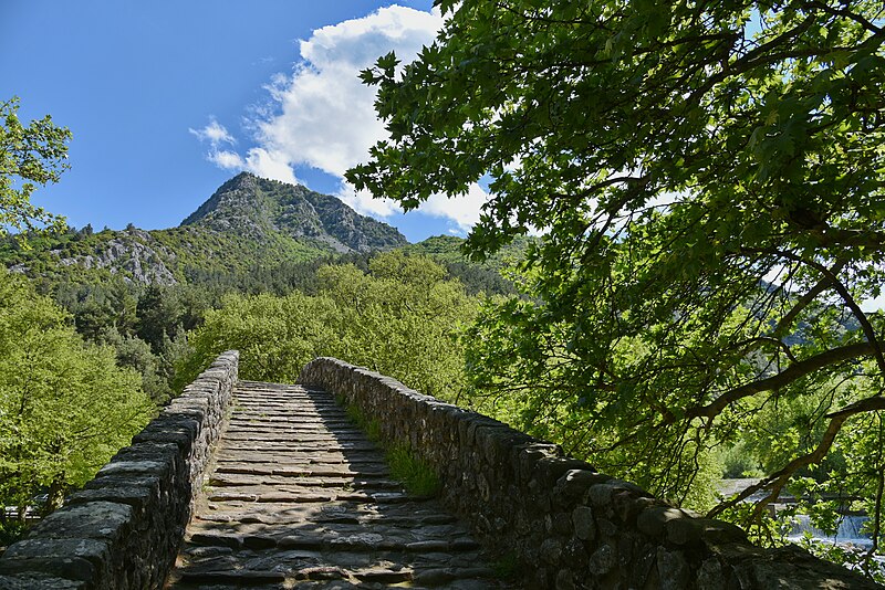 File:Στην σκιά από το Πέτρινο Τοξωτό Γεφύρι Πύλης Τρικάλων.jpg