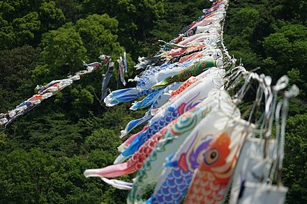 Carp Streamers over the Matsudagawa River