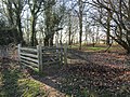 -2019-02-27 Kissing gate into Cottage Plantation, Felbrigg, Norfolk.JPG