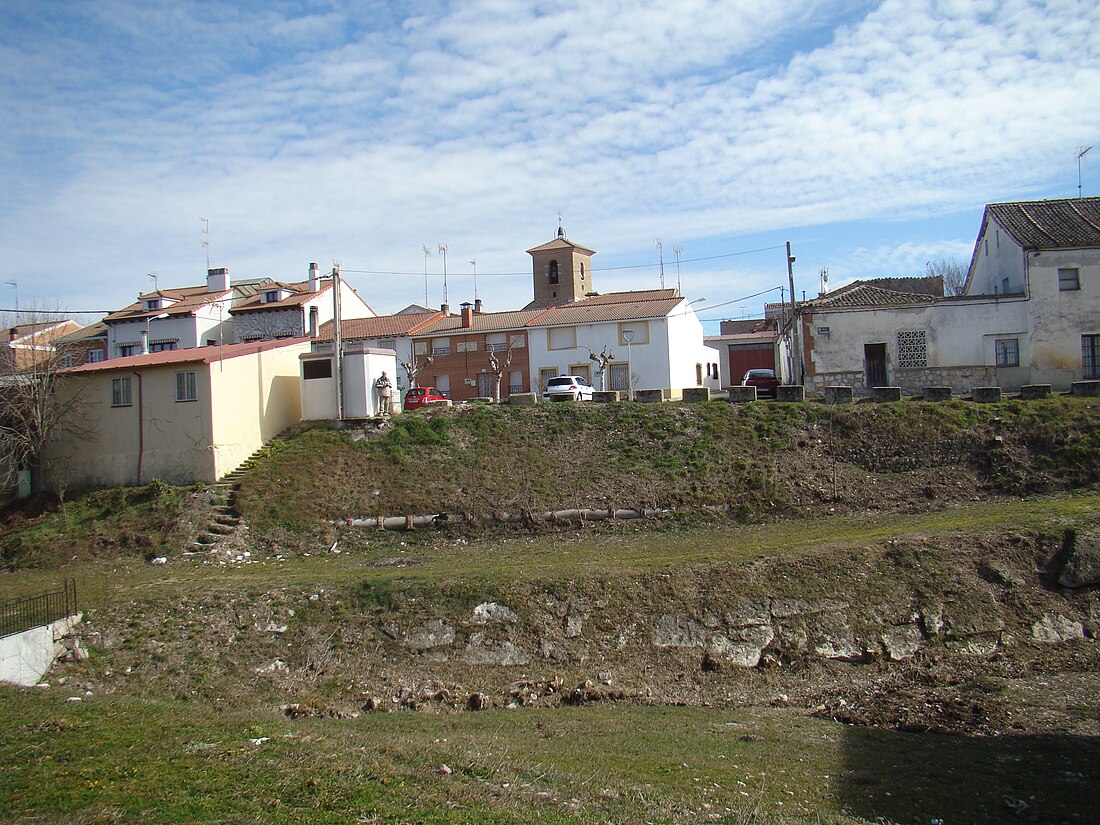 Sardón de Duero