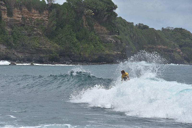 File:153 Championnat international de surf, Basse-Pointe Martinique.jpg