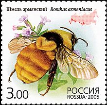 2005. Марка России stamp hi12612324614b2ce14dca1a2.jpg