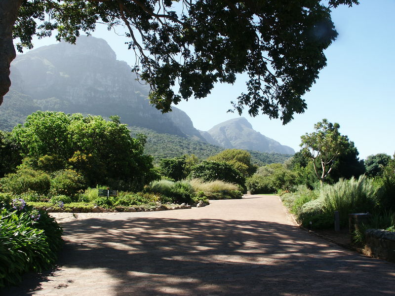 File:2006 02 Kirstenbosch 12.JPG