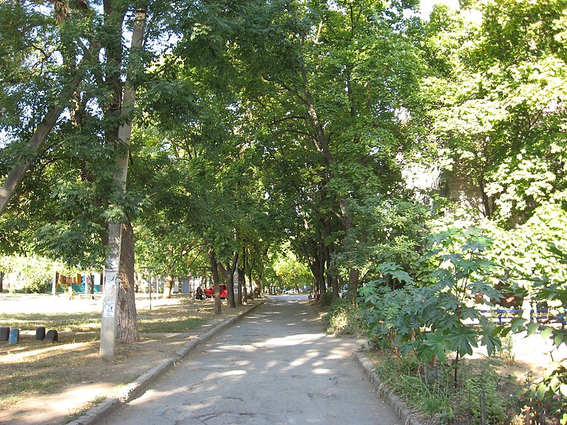 File:2012 - panoramio (342).jpg