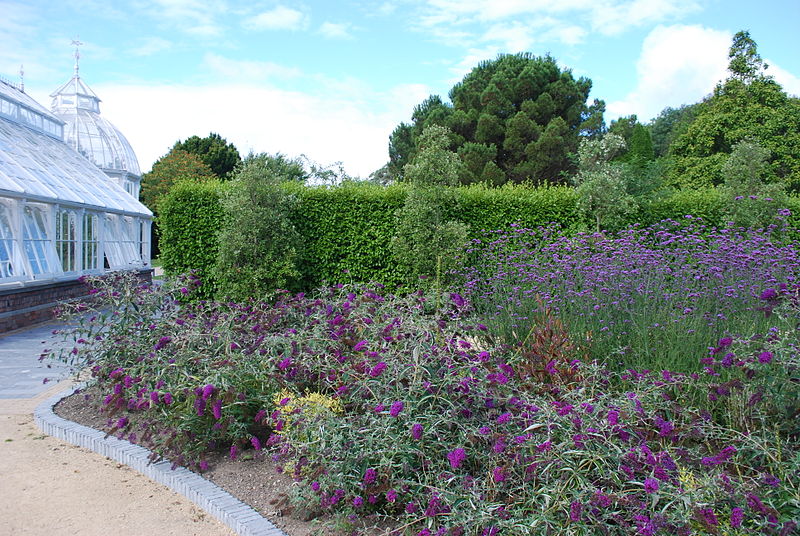 File:20130811 malahide016.JPG