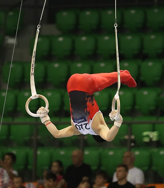 File:2019-06-27 1st FIG Artistic Gymnastics JWCH Men's All-around competition Subdivision 3 Still rings (Martin Rulsch) 058.jpg